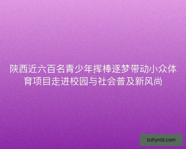 陕西近六百名青少年挥棒逐梦带动小众体育项目走进校园与社会普及新风尚