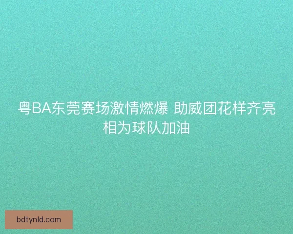 粤BA东莞赛场激情燃爆 助威团花样齐亮相为球队加油