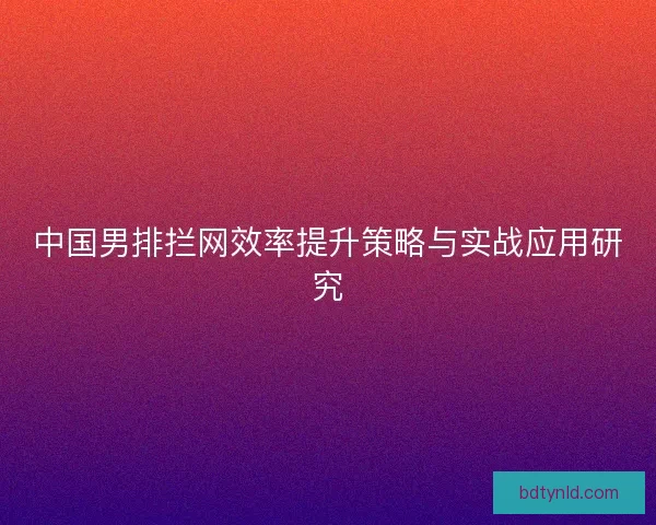 中国男排拦网效率提升策略与实战应用研究